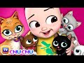 மியாவ் மியாவ் பூனைக்குட்டி (Poonai Kutty Song) - ChuChu TV Tamil Songs for Kids