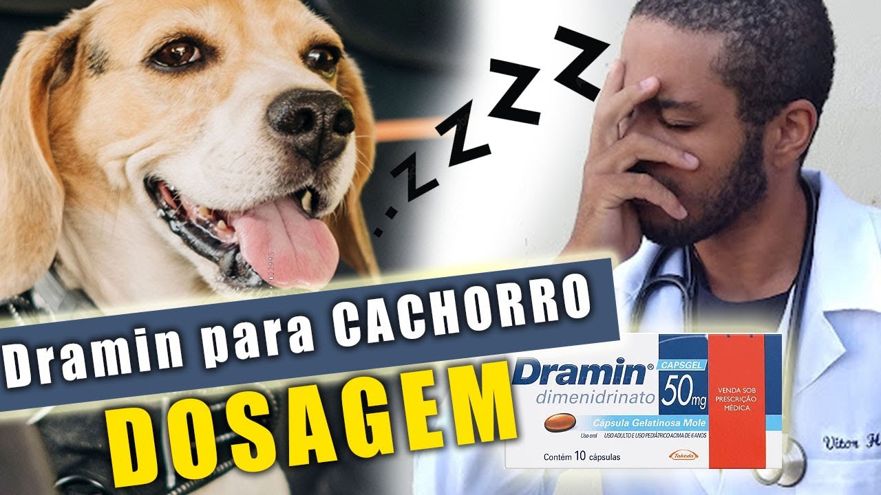 Pode dar DRAMIN para cachorro dosagem! – Instruções básicas. - YouTube