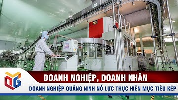 Doanh nghiệp Quảng Ninh nỗ lực thực hiện mục tiêu kép | QTV