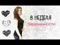 8 неделя беременности #P-ONLINE