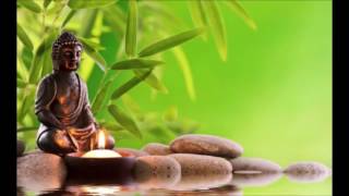 Voice Of Enlightened Nuns - Arahant Nun Punna