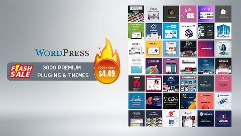 Get the Ultimate WordPress Experience: All Premium Plugins & Themes for $4.49!