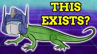 The Nerdiest Animal Names