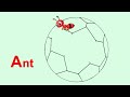 Ant, Ball || পিপীলিকা, বল