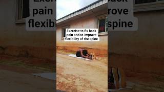 Exercise to fix back pain and stiffness, improves flexibility of spine #flexibility#fitness#workout