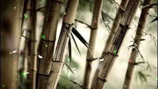 Maharaja Hip hop Remix - Me tera diwana - Hip Hop mix akshay the A