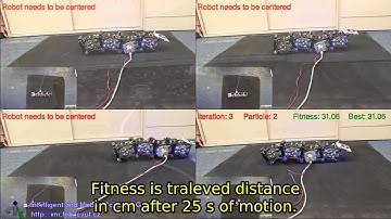 Gait learning of modular robots