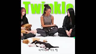 KATSEYE Sang Twinkle, Twinkle, Little Star to Puppies 🥹🐶