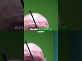 Ozon Богуславский настаивал на переделке ядра Ozon
