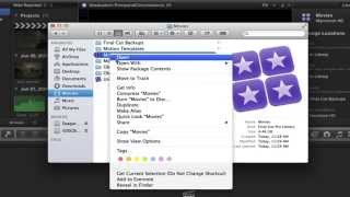 FCP X: Libraries, Projects, Events (v. 10.1.3)