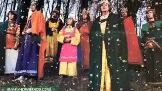 Brendan Shine - Christmas Time In Ireland