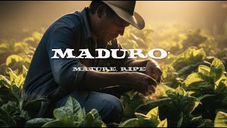 VIDEO SHORT:  What is a MADURO CIGAR?