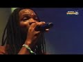 Bushman  live  main stage rototom sunsplash 2010 full concert