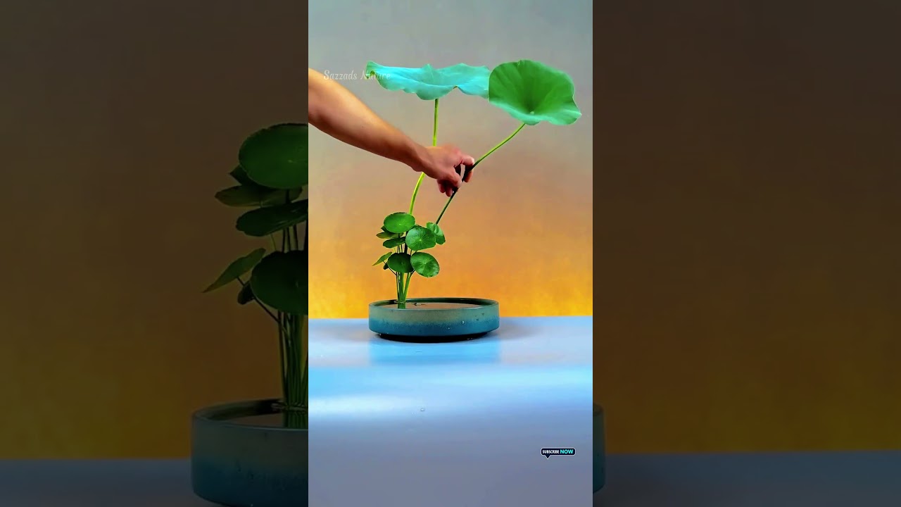 🥦🍓Liveliness of natural beauty  🍓