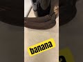 Very Edible Banana