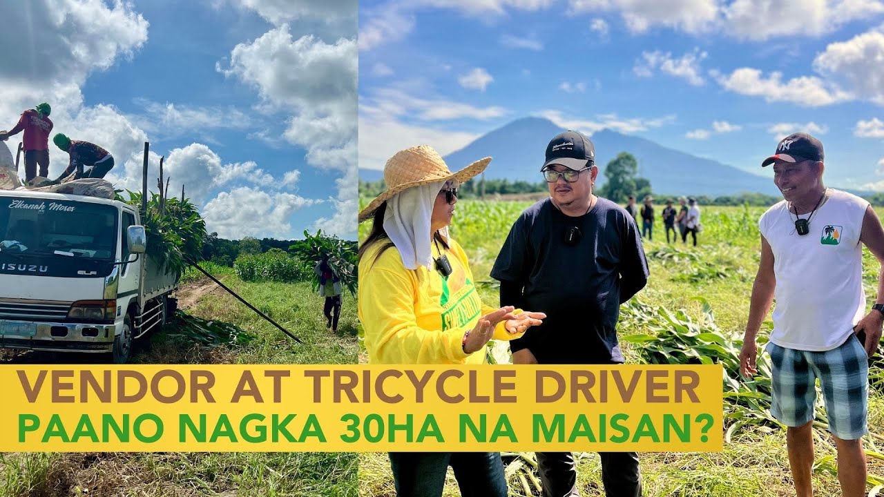 Vendor at Tricycle Driver, Mayroon ng 30Ha Maisan! Paano nag Bago ang Kanilang Buhay?