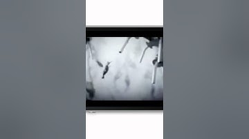 Audi Bird- rich media HTML 5 animation