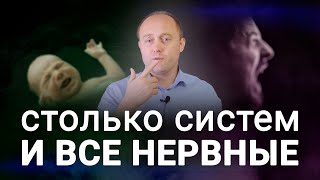 картинка: ПРИМИТИВНЫЕ РЕФЛЕКСЫ. Вегетативный аспект здоровья