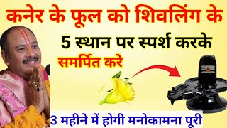 कनेर के फूल से करे 5 स्थान पर स्पर्श वाला उपाय । Pradeep Mishra ke upay