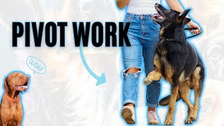 Fix Your Heel INSTANTLY  Pivot Work For Dogs Using The Target Command