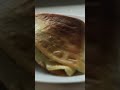 Easy Crepes in Minutes