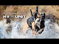 K9 - Unit | Military Dogs In Action (Military Motivational)