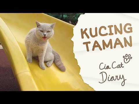 Kucing Jalan-jalan di Taman - TAMANNYA BAGUS BANGET!!! - Cia Cat Diary - Ep 5 [ENG SUB]