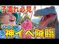 【USJで絶対体験すべきイベント！】GWファミリーに最高すぎる！裏技もね！！