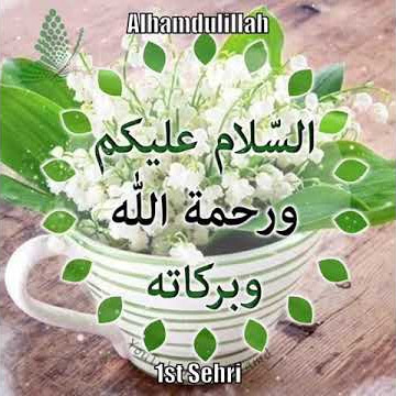 Assalamualaikum |subah bakhair| whatsapp status | Good morning everyone