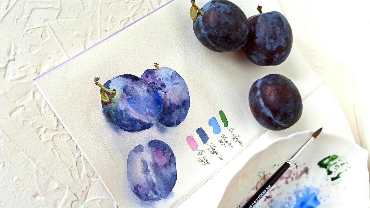Слива рисунок акварелью