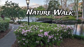 A rainy walk in the  nature with relaxing nature sound|  Cullman park NC USA by Travelclicks_PD 27 views 2 months ago 13 minutes, 28 seconds
