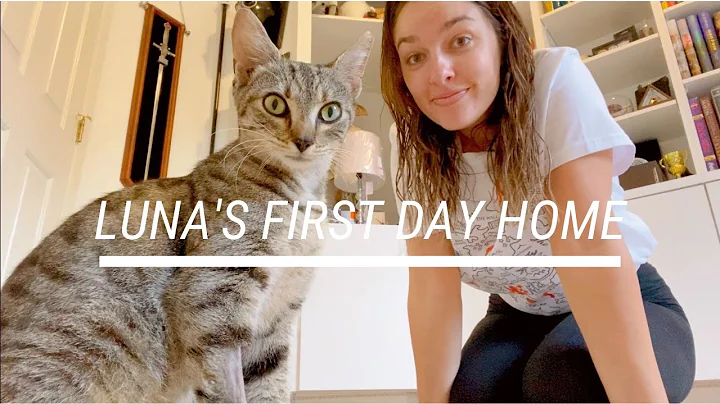 BRINGING LUNA HOME | VLOG