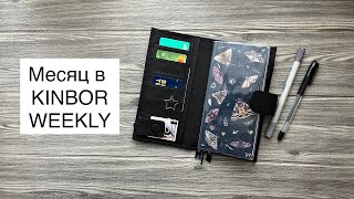 :     Kinbor Weekly