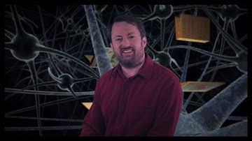 Taste | David Mitchell