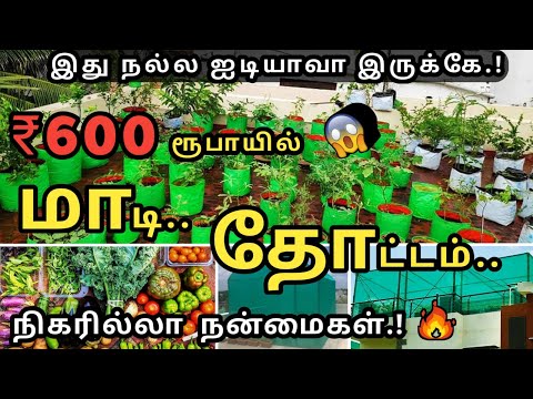 பட்டய கெளப்பும் மாடித்தோட்டம் | கட்டாயம் தெரிஞ்சுக்கோங்க | Start A ?????? ??????? ?????? -Ideas