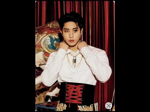 Photo Scan Of Stray Kids Album Photobook Circus Type A Straykids Skz Circus