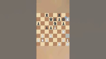 THE ROOKSSSSSS ‼️‼️‼️‼️‼️ || #chess #brilliant #chessgame #chesscom #checkmate