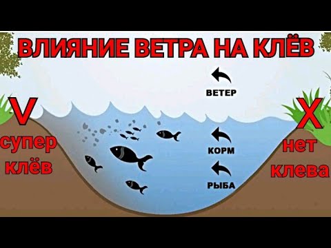 То, что Ты Не Знал о Ветре/Влияние Ветра на Клёв Рыбы/Где Ловить в Ветер?