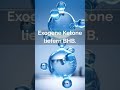Energie ist Biologie