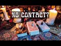 How do they feel now that youre gone  red fairy tarot detailed tarotreading