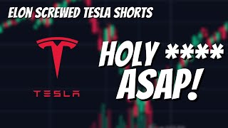 HOLY **** Tesla Stock.