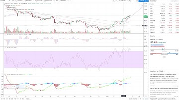 Litecoin (LTC) Moon Pattern. $130 Target