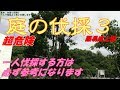 危険高木を一人で倒す動画【高木、木登り伐採3】一人での作業は危険ですので専門業者に任せましょう。