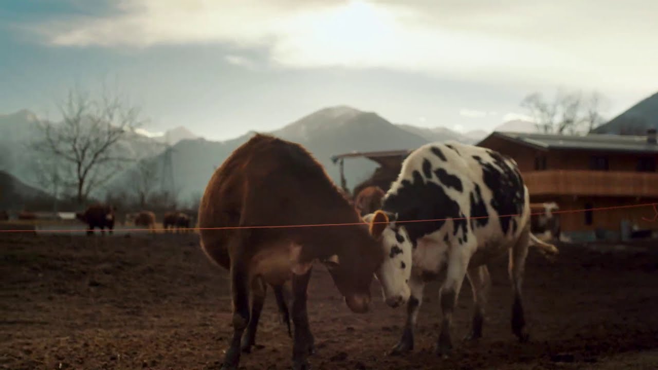 WOLF SYSTEM costruisce per Della Piazza s.s agr.