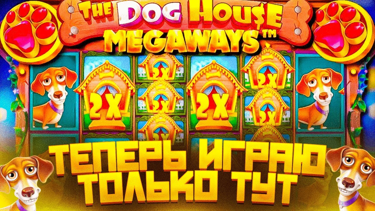 ПОДНЯЛ 250К С ПЕРВОЙ БОНУСКИ | ИГРАТЬ В THE DOG HOUSE MEGAWAYS | ДОГ ...