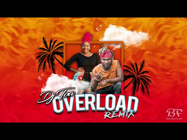 DJ TOA - OVERLOAD (ZINNIA X SEAN RII) REMIX 2019 class=