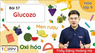 Glucozo - Hóa lớp 9 | Bài 37 | Học online cùng TOPPY screenshot 3