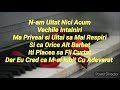 Tu N-ai Avut Curaj - Madalina Manole! (Piano Karaoke)