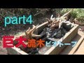 巨大流木ビオトープレイアウト4