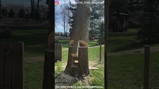 Smart Tree Cutting Amazing Paper Crafts Desi Jugaad Diy Crafts